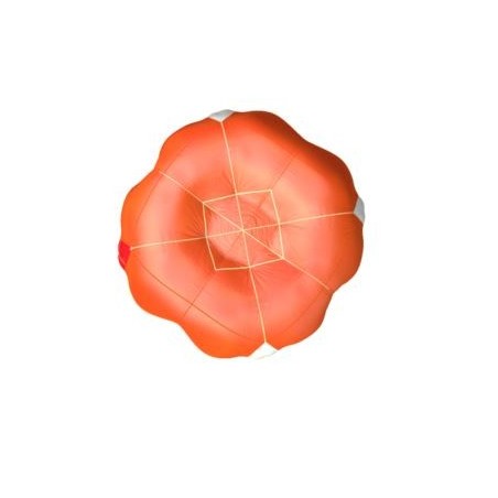 Advance - Companion SQR