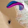 Ozone - Mojo Power paramotor